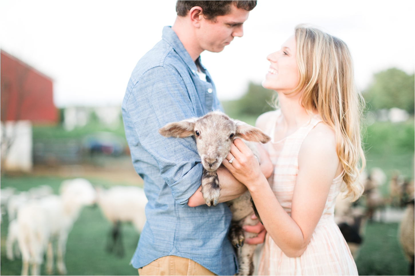 Farm and Sheep Engagement Session Inspiration by Pennsylvania Wedding Photographer Brianna Wilbur