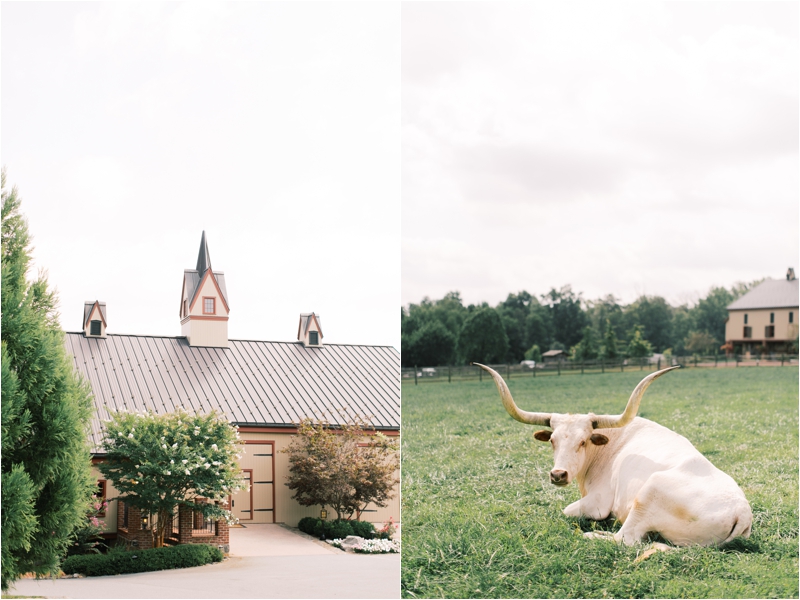 Ironstone Ranch wedding photographed by PA wedding photographer Brianna Wilbur