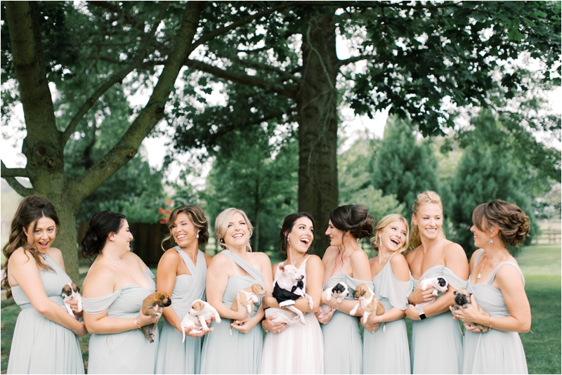 bridesmaids in pale blue gowns hold puppies during Ironstone Ranch wedding