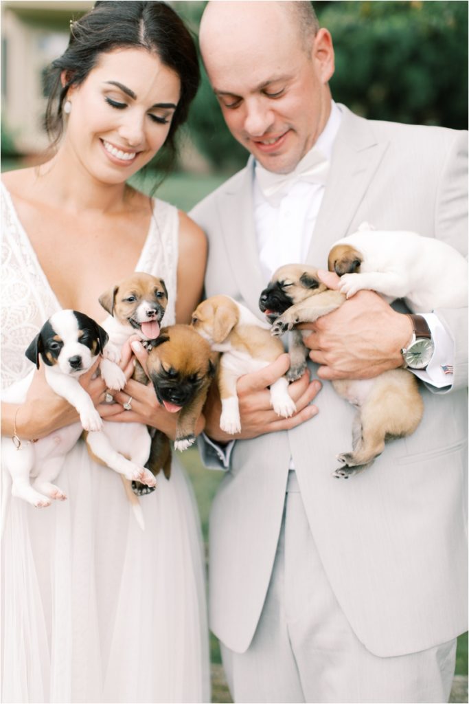 Pennsylvania couple holds adoptable puppies during Ironstone Ranch wedding photos