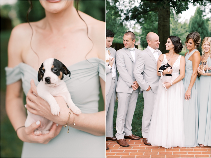 bridesmaid holds puppy during PA wedding photos