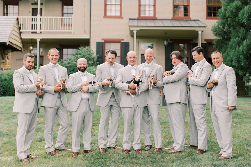 groomsmen in pale grey suits hold adoptable puppies during photos