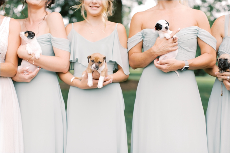 bridesmaids in pale blue gowns hold adoptable puppies