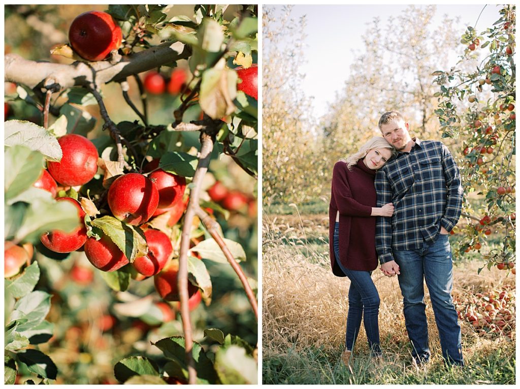 intimate couple photos taken at an Apple Orchard in Pennsylvania. Engagement photographer is Brianna Wilbur.